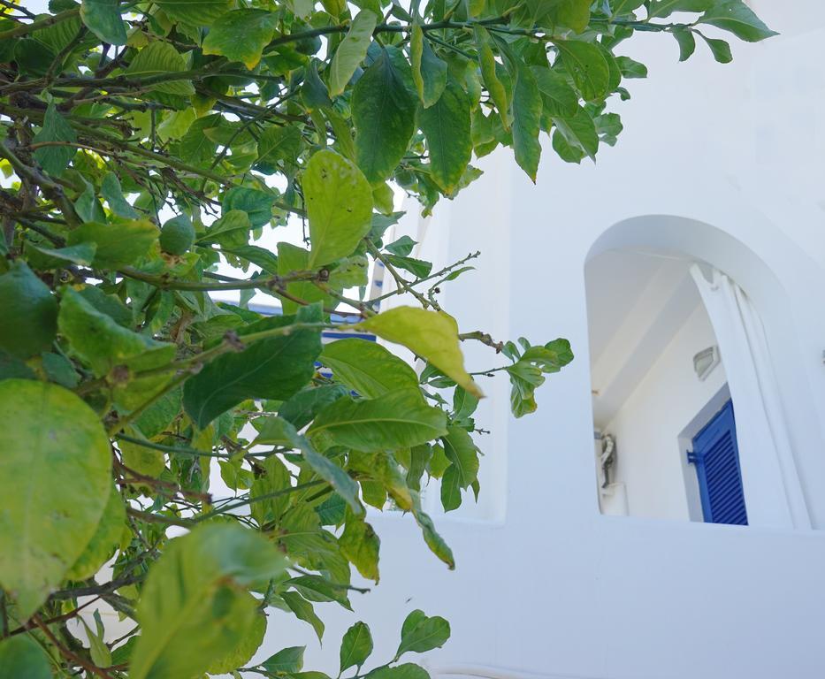 Klironomos Apartments Logaras Extérieur photo