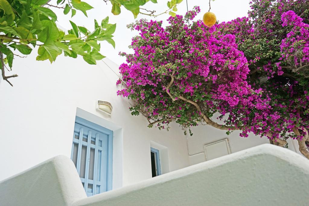 Klironomos Apartments Logaras Extérieur photo