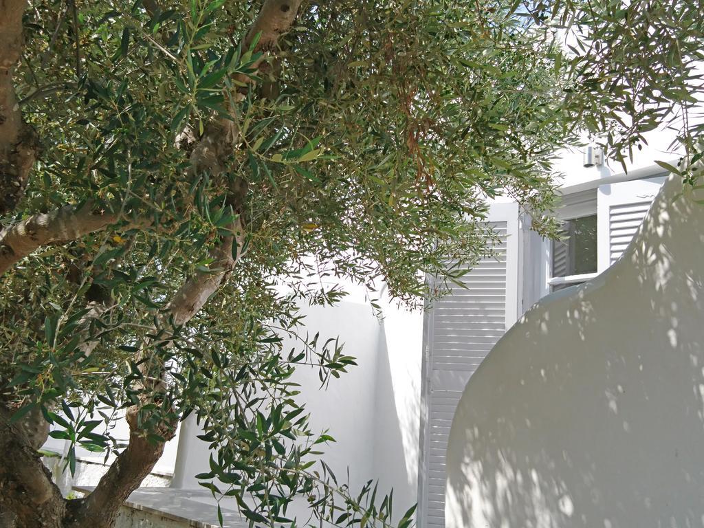 Klironomos Apartments Logaras Extérieur photo