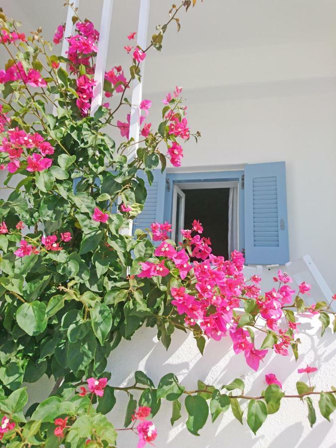 Klironomos Apartments Logaras Extérieur photo